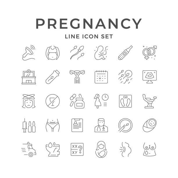 ilustrações de stock, clip art, desenhos animados e ícones de set line icons of pregnancy - cesarean