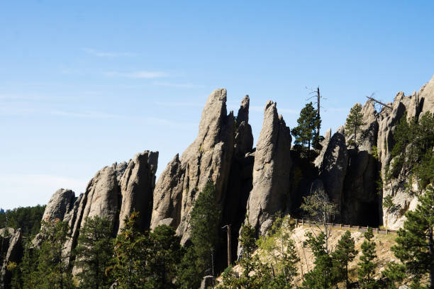 istock Needles in the Black Hills 1278995573