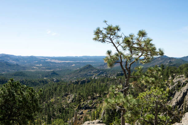 istock Black Hils in South Dakota in the Fall 1278995582