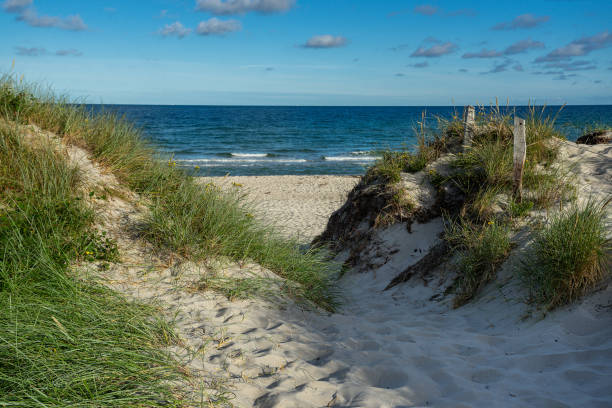 istock Strandzugang Naturstrand 1278996049