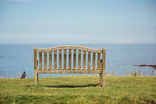 An empty bench looking out to the beautiful coastline of Northumberland and the North Sea