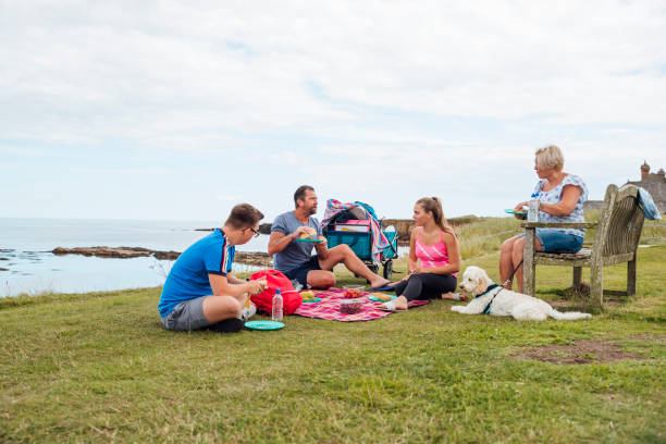 istock Picnic At The Beach 1278997542