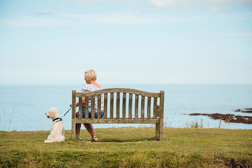 A female dog owner sits with her pet cockapoo enjoying the coastal view and sitting on a bench.
