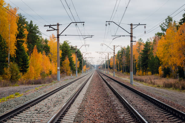 istock Railroad track curved in autumn forest 1278998306