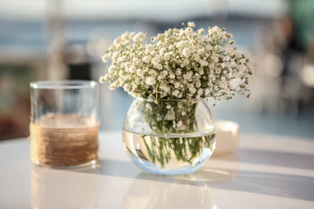 gypso blumen in vase auf dem tisch - communion table stock-fotos und bilder