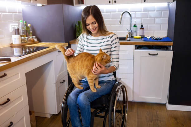 istock Disabled young woman in kitchen with cat on her lap 1279000141