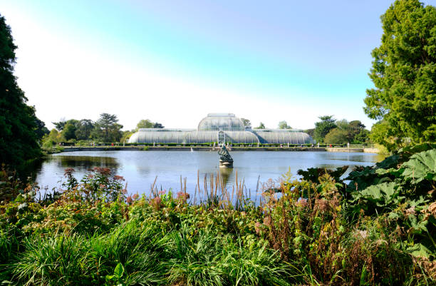 The Palm House and the lake in the Royal Botanic Gardens, Kew London / UK - SEP 18, 2020: London / UK - SEP 18, 2020: The Palm House and the lake in the Royal Botanic Gardens, Kew in Richmond upon Thames. kew gardens stock pictures, royalty-free photos & images
