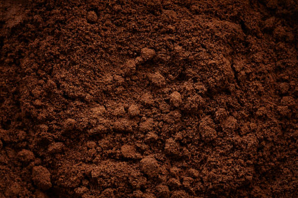 istock Top view close-up of grinded coffee beans 1279001857