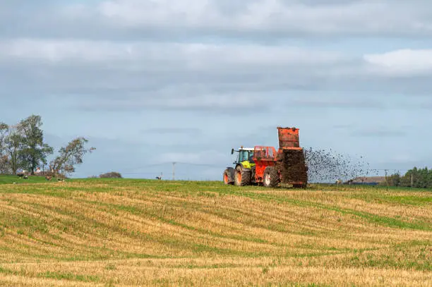 A tractor pulling a trailer containing manure that is being spread on a field that was recently harvested