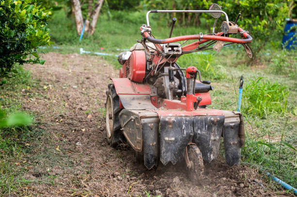 istock Tractor shoveling the soil in plantation 1279003388