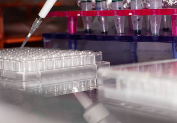 istock Pipetting samples in 96 well microplate. Samples preparation for analysis in the scientific laboratory. 1279004013