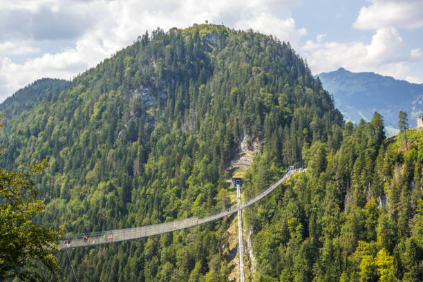 istock suspension bridge in the Alps 1279004172