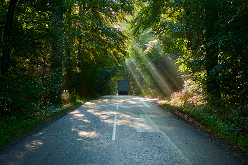 Light falling through the leaves of trees in beech forest hitting a road. Truck is passing by