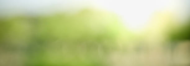 istock Abstract blurred out of focus and blurred green leaf background under sunlight with bokeh and copy space using as background natural plants landscape, ecology wallpaper and cover concept. 1279005142