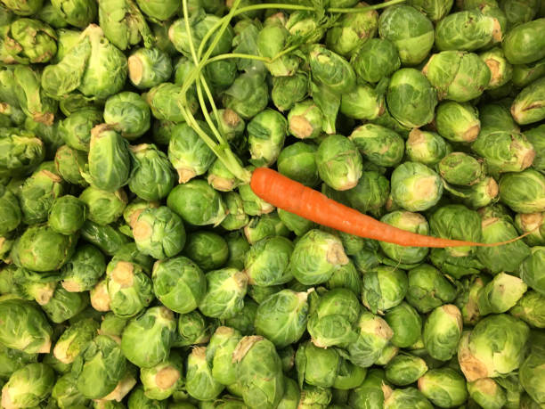 Vegetables 1