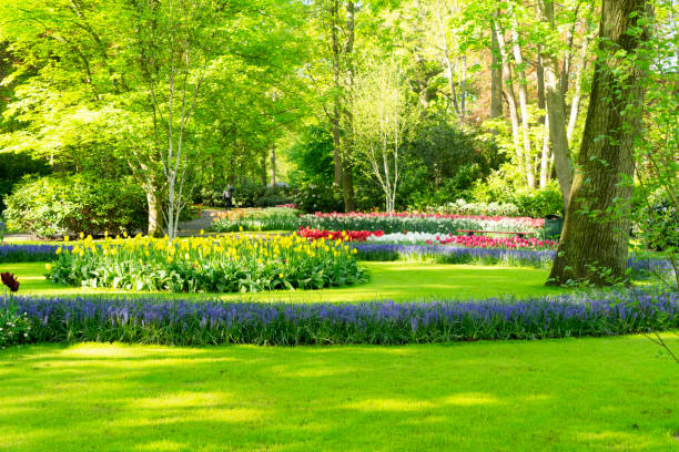 istock fresh lawn with flowers 1279008720