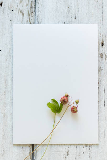 istock blank sign on the table - beautiful background with space for text. Forest strawberries as decor 1279009563