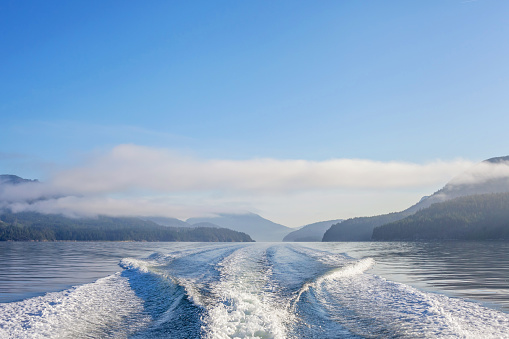 Morning on the Alberni Inlet, looking into the wake of a boat. Vancouver Island, BC.