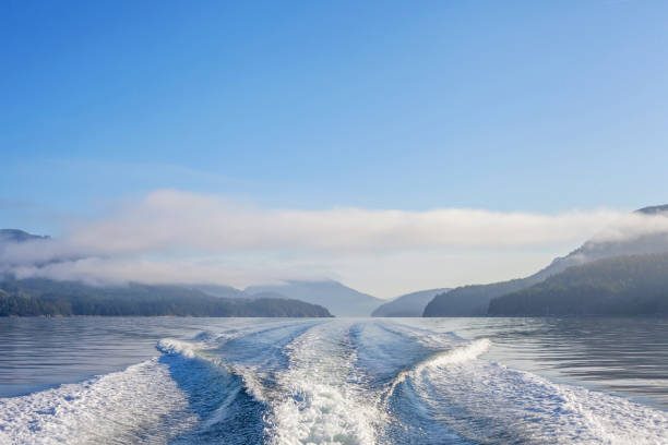 Alberni Inlet Morning on the Alberni Inlet, looking into the wake of a boat. Vancouver Island, BC. wake water stock pictures, royalty-free photos & images