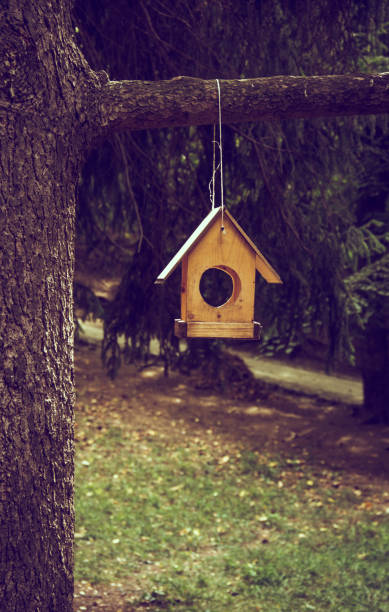 istock Wooden feeder house in the park 1279011606