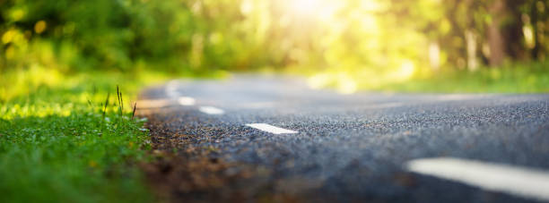 istock Asphalt road and dividing lines in the forest 1279012271
