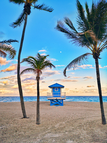 Typical american blue lifeguard house on Florida beach in Hollywood USA. Beautiful tropical Floridian landscape with tall palm trees, ocean and lifeguard house at sunset. Popular american landmark.