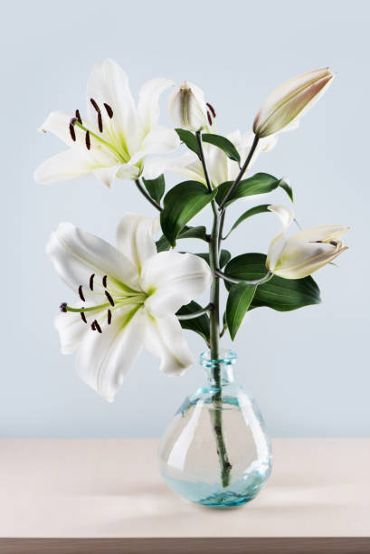 istock Bouquet beautiful white lilies in vase on the table. 1279012600