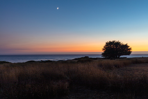 Dusk twilight of ocean at sunset with tree and moon