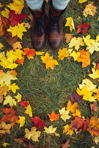 Young couple's legs standing beside each other. Heart shape created from lush and colorful maple leaves. Fresh green grass in middle. Empty place for positive text, quote or sayings. Top view, vertical image.