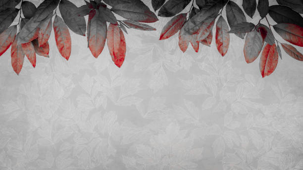 This Picture is made in my Day Light Studio. (Slightly toned).