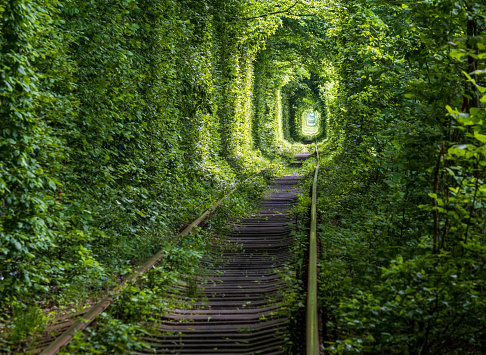 Tunnel of Love ( railway  in forest near Klevan, Ukraine)