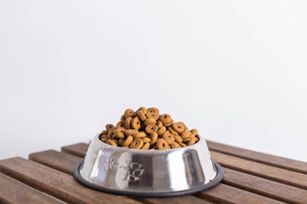 istock dog food bowl 1279021266