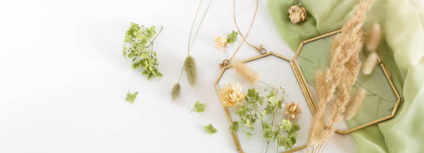 istock Dried flowers and herbs for making decoration flat lay banner on white background. Framing dried plants. Top view.  Copy space.Hobby handmade with flowers. 1279021580
