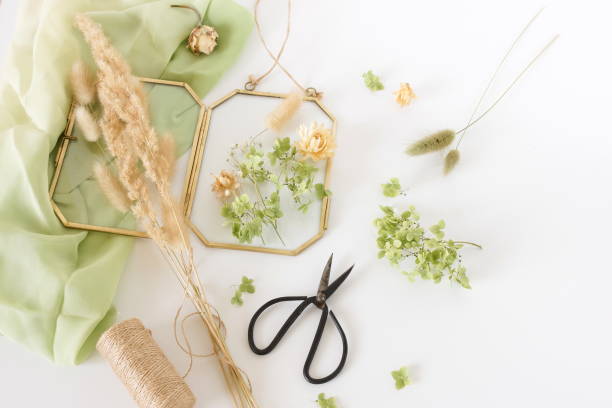 istock Dried flowers and herbs for making decoration flat lay  on white background. Framing dried plants. Top view.  Copy space.Hobby handmade with flowers. 1279021666