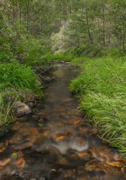 istock Zborovsky creek flowing to influence with Malse river in autumn day 1279021716