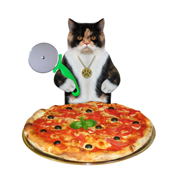 istock Cat cutting pizza with knife 1279024389