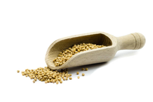 istock Mustard seeds isolated on white background 1279028666