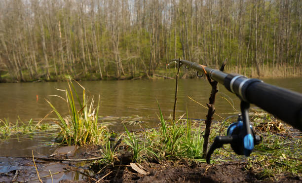 istock fishing on the river 1279029223