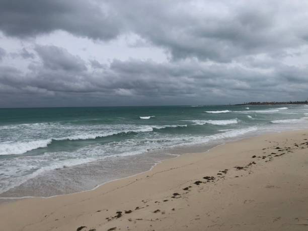 istock Cancun beach after the hurricane 1279029253