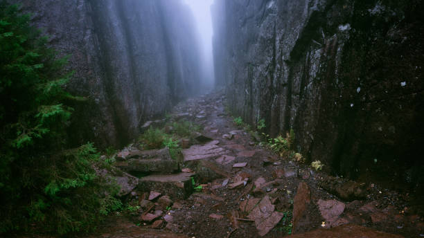 High cliffs on both sides at once leading away in foggy weather