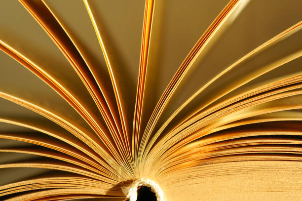 istock an open book in the sunlight 1279033805