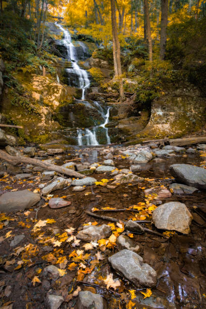 istock Tall cascading waterfall surrounded by dense fall foliage. Colorful leaves 1279035742