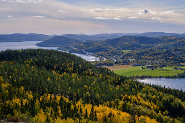 hermosas vistas de las montañas del bosque y el mar en un día soleado de otoño - norrland fotografías e imágenes de stock