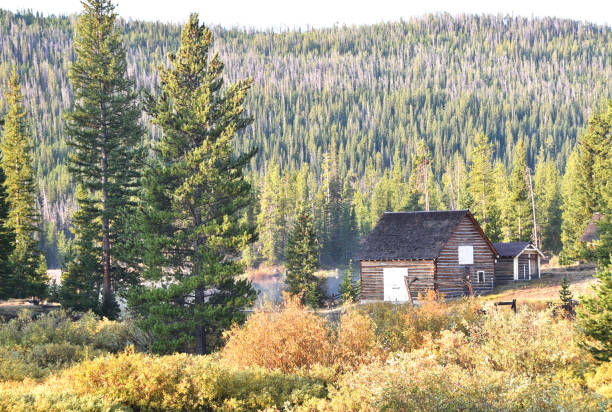 istock Cabin in the Woods 1279037314
