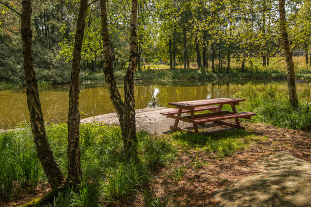 istock Park bench and table by a small pond 1279038154
