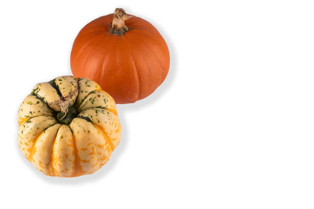 istock raw pumpkins on white background, autumn concept, Helloween holidays, copy space 1279040884