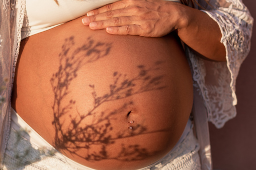 Naked belly of pregnant woman with shadow of plant. Maternity, pregnancy and motherhood concepts