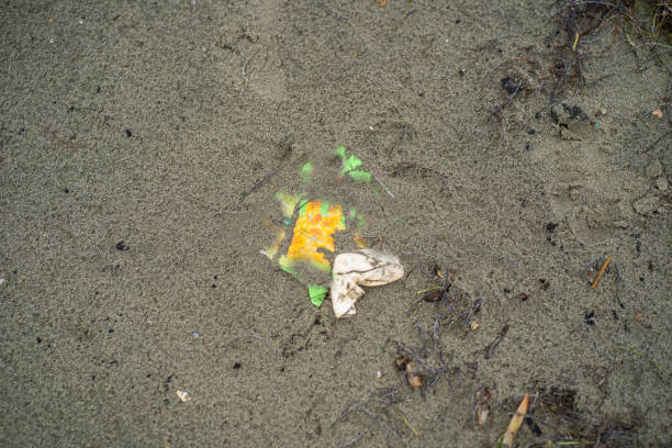 istock Bag of chips in beach 1279044038