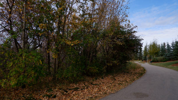 istock Blackmud Creek Walking Trail Fall Photos 1279048854