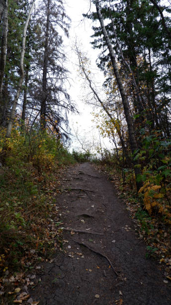 istock Blackmud Creek Walking Trail Fall Photos 1279048864